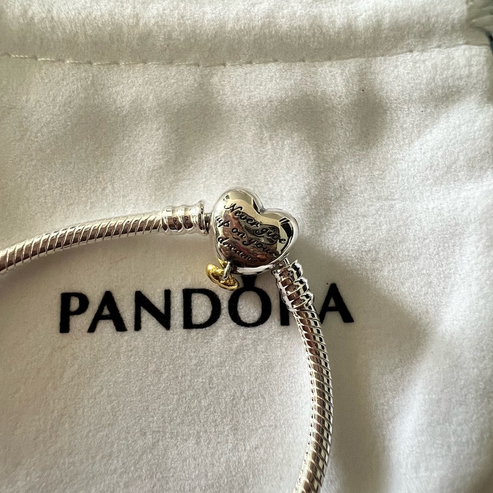 Pandora bracelet - Picture 3 of 3